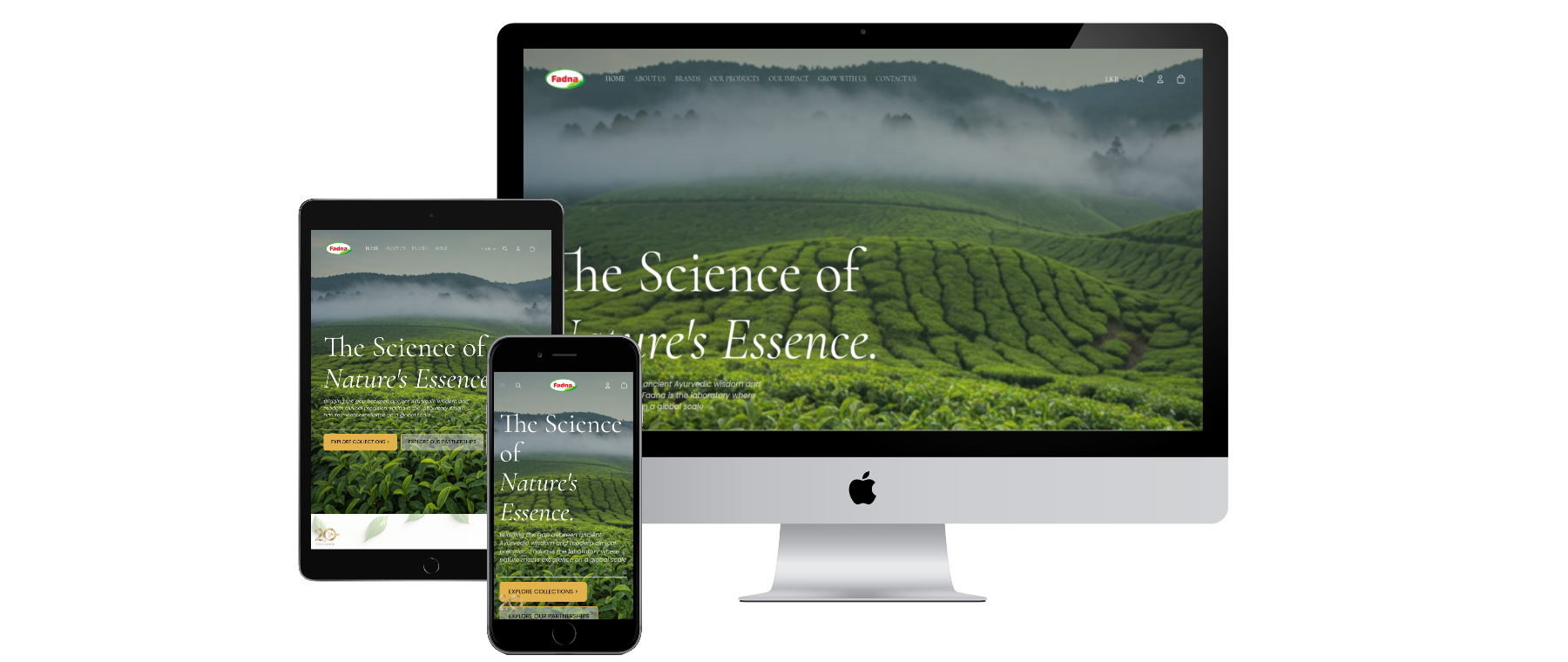 Fadna multi-device presentation on dark background