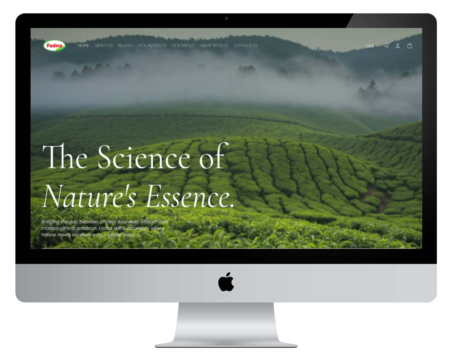 Desktop experience