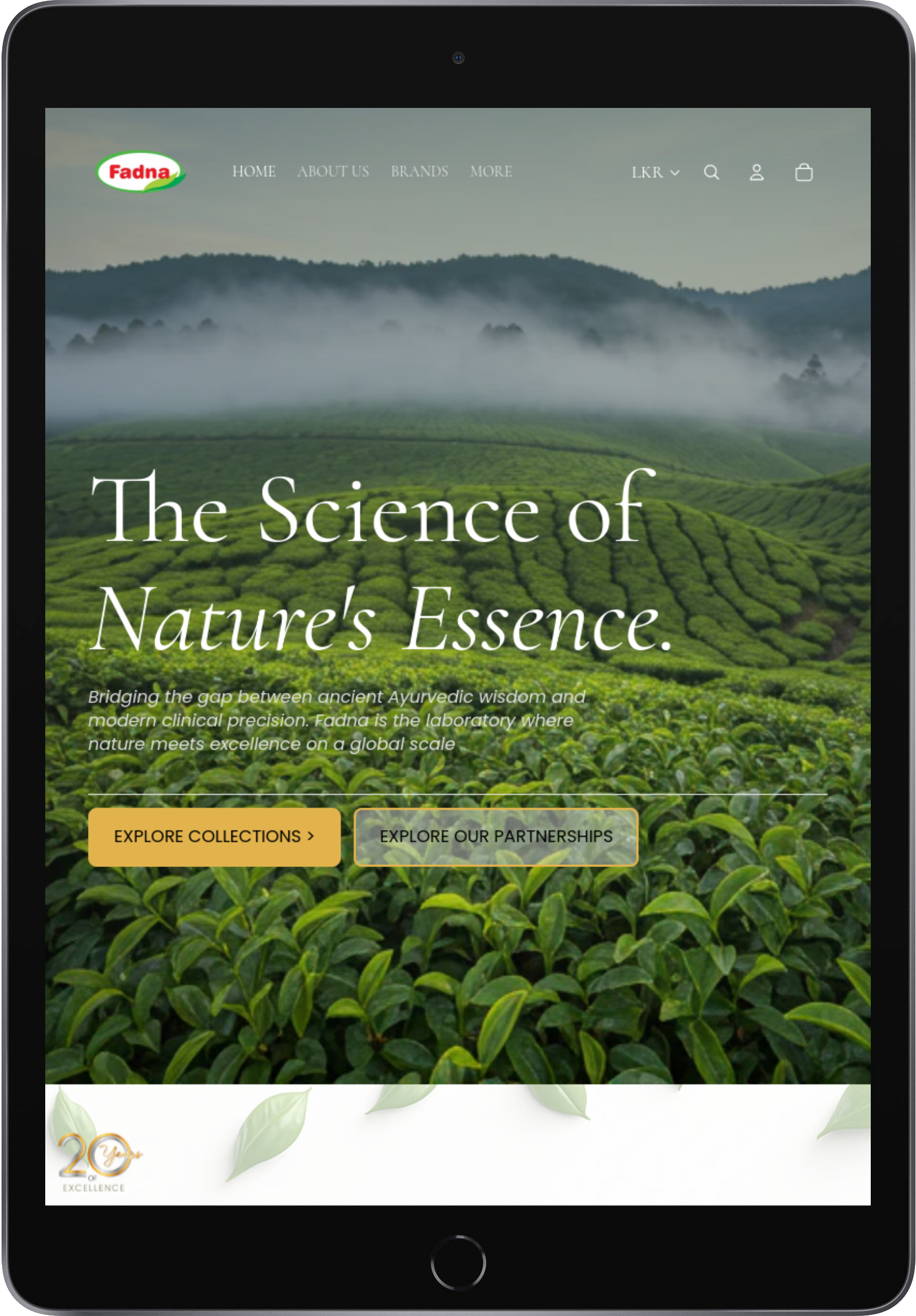 Fadna tablet mockup on dark background