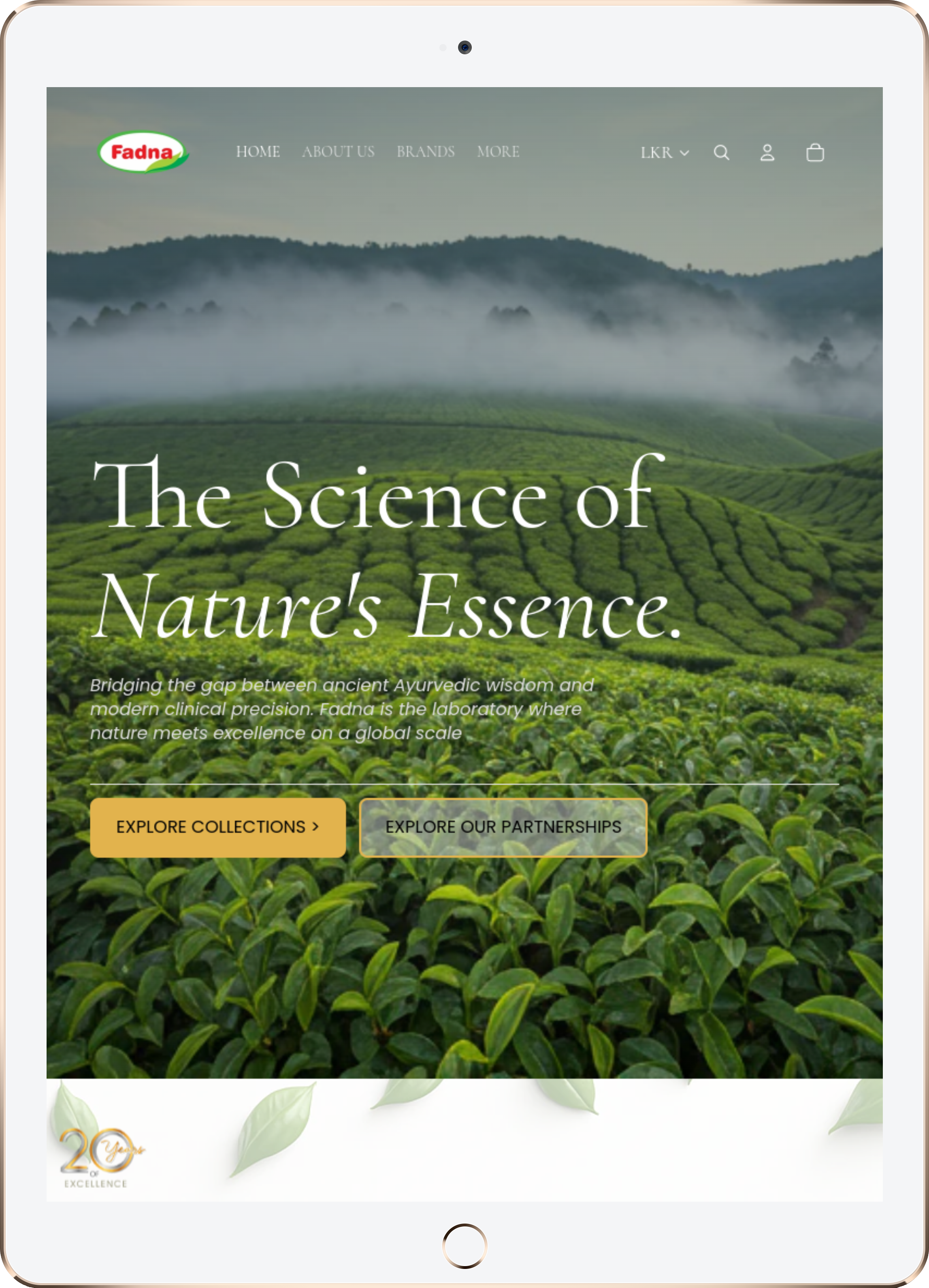 Fadna tablet experience